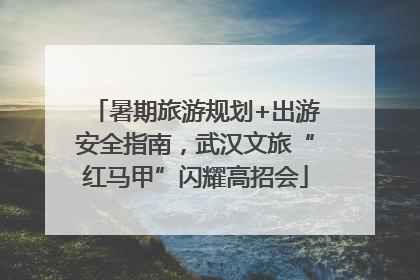 暑期旅游规划+出游安全指南，武汉文旅“红马甲”闪耀高招会
