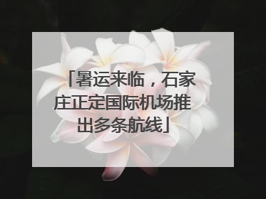 暑运来临，石家庄正定国际机场推出多条航线