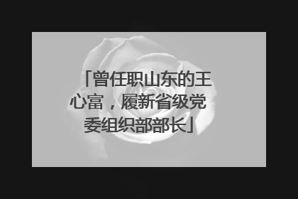 曾任职山东的王心富，履新省级党委组织部部长