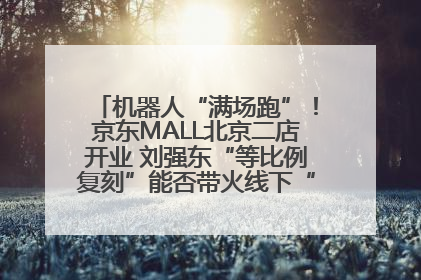机器人“满场跑”！京东MALL北京二店开业 刘强东“等比例复刻”能否带火线下“618”？