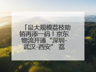 最大规模荔枝助销再添一码！京东物流开通“深圳-武汉-西安” 荔枝全货机航线