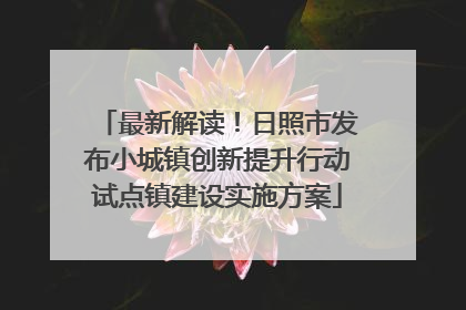 最新解读！日照市发布小城镇创新提升行动试点镇建设实施方案