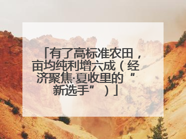 有了高标准农田，亩均纯利增六成（经济聚焦·夏收里的“新选手”）