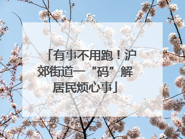 有事不用跑！沪郊街道一“码”解居民烦心事