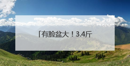 有脸盆大！3.4斤巨型牛肝菌现身云南