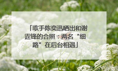 歌手陈奕迅晒出和谢霆锋的合照：两名“细路”在后台相遇
