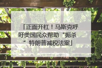 正面开杠！马斯克呼吁美国民众帮助“扼杀”特朗普减税法案