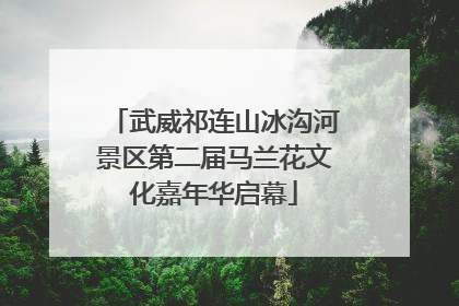 武威祁连山冰沟河景区第二届马兰花文化嘉年华启幕