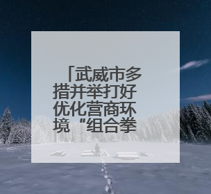 武威市多措并举打好优化营商环境“组合拳”