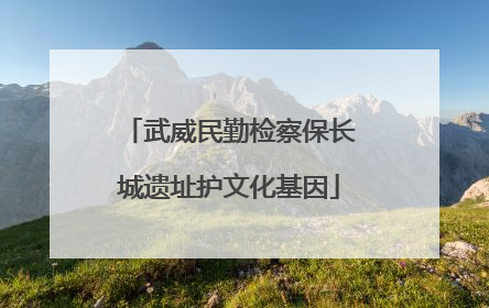 武威民勤检察保长城遗址护文化基因