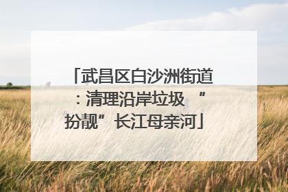 武昌区白沙洲街道：清理沿岸垃圾 “扮靓”长江母亲河