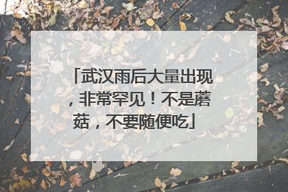 武汉雨后大量出现，非常罕见！不是蘑菇，不要随便吃