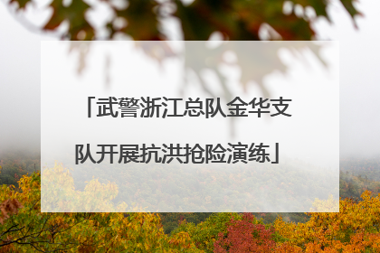 武警浙江总队金华支队开展抗洪抢险演练