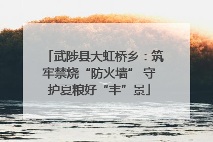 武陟县大虹桥乡：筑牢禁烧“防火墙” 守护夏粮好“丰”景