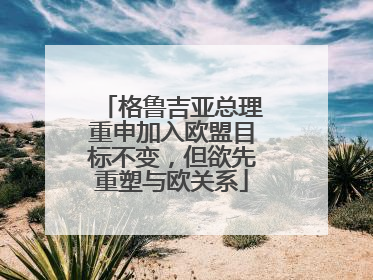 格鲁吉亚总理重申加入欧盟目标不变，但欲先重塑与欧关系