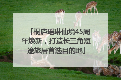 桐庐瑶琳仙境45周年焕新，打造长三角短途旅居首选目的地
