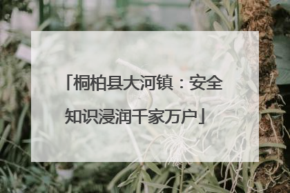 桐柏县大河镇：安全知识浸润千家万户