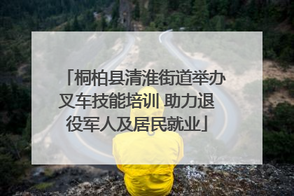 桐柏县清淮街道举办叉车技能培训 助力退役军人及居民就业