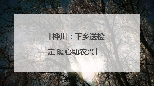 桦川：下乡送检定 暖心助农兴