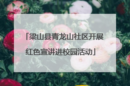 梁山县青龙山社区开展红色宣讲进校园活动