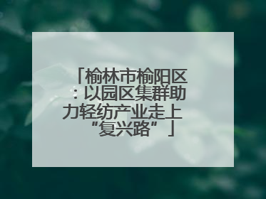 榆林市榆阳区：以园区集群助力轻纺产业走上“复兴路”