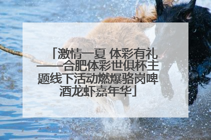 激情一夏 体彩有礼——合肥体彩世俱杯主题线下活动燃爆骆岗啤酒龙虾嘉年华