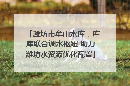 潍坊市牟山水库：库库联合调水枢纽 助力潍坊水资源优化配置