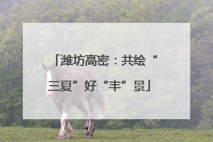 潍坊高密：共绘“三夏”好“丰”景