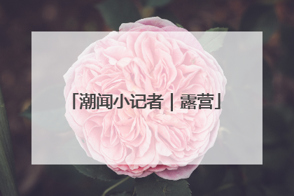 潮闻小记者｜露营
