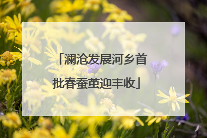 澜沧发展河乡首批春蚕茧迎丰收