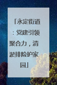 永定街道：党建引领聚合力，清淤排险护家园
