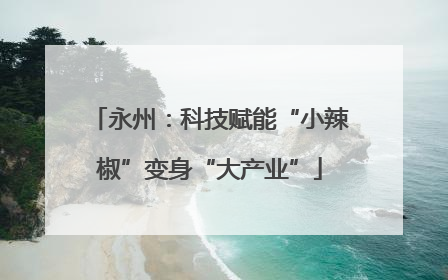 永州：科技赋能“小辣椒”变身“大产业”