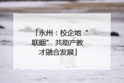 永州：校企地“联姻” 共助产教才融合发展