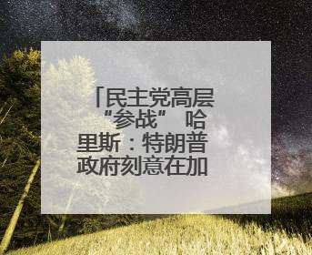 民主党高层“参战” 哈里斯：特朗普政府刻意在加州挑起混乱