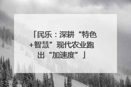 民乐：深耕“特色+智慧”现代农业跑出“加速度”