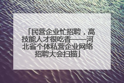 民营企业忙招聘，高技能人才很吃香——河北省个体私营企业网络招聘大会扫描