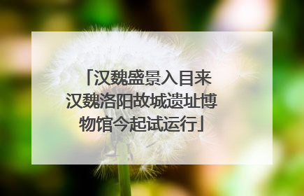 汉魏盛景入目来 汉魏洛阳故城遗址博物馆今起试运行