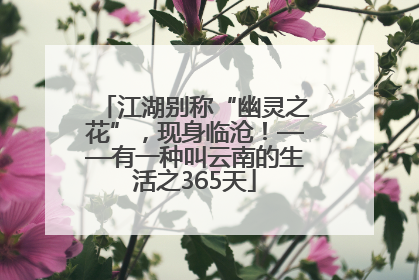 江湖别称“幽灵之花”，现身临沧！——有一种叫云南的生活之365天