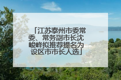 江苏泰州市委常委、常务副市长沈峻峰拟推荐提名为设区市市长人选