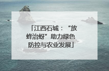 江西石城：“放蜂治蚜”助力绿色防控与农业发展
