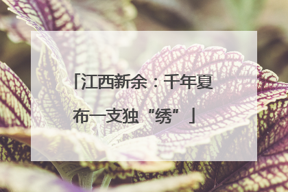 江西新余：千年夏布一支独“绣”