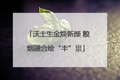 沃土生金焕新颜 粮烟融合绘“丰”景
