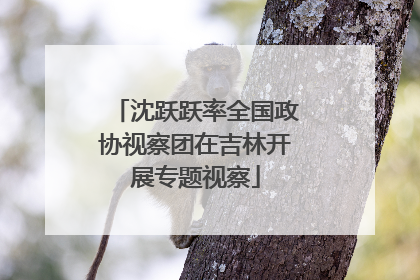 沈跃跃率全国政协视察团在吉林开展专题视察