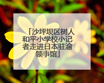 沙坪坝区树人和平小学校小记者走进日本驻渝领事馆