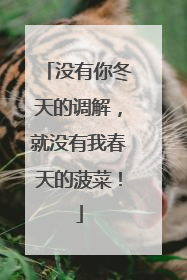 没有你冬天的调解，就没有我春天的菠菜！