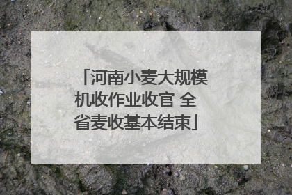 河南小麦大规模机收作业收官 全省麦收基本结束