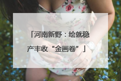 河南新野：绘就稳产丰收“金画卷”
