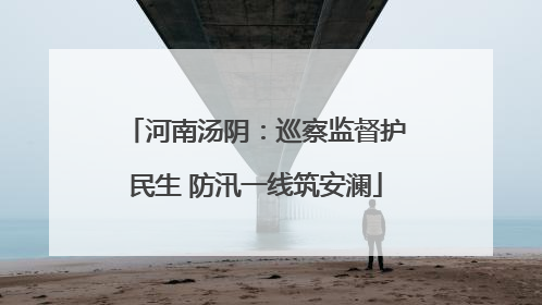 河南汤阴：巡察监督护民生 防汛一线筑安澜