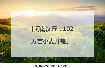 河南沈丘：102 万亩小麦开镰