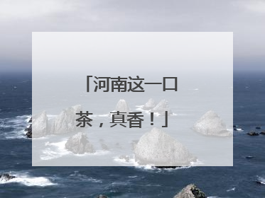 河南这一口茶，真香！